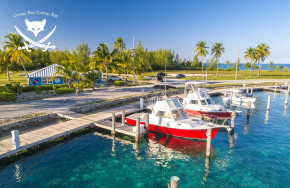 Ocean Fox Cotton Bay