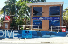 Summer Salt Dive Center