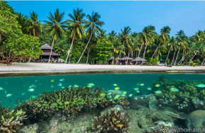 Triton Bay Dive Resort