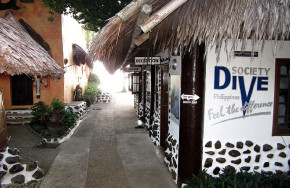 Dive Society Dauin