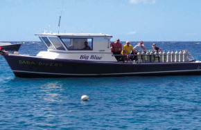 Saba Divers