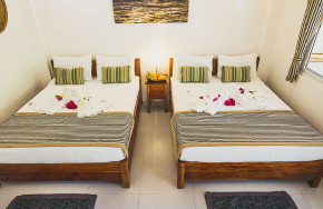 Evolution Beach and Dive Resort