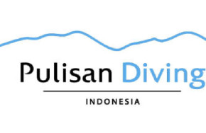 Pulisan Diving