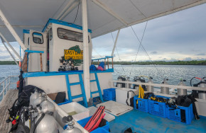 Easy Diving Cagayan
