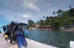 Froggies Divers Lembeh