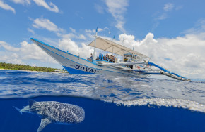 Easy Diving Tauchsafaris - Visayas (Royo & Goya)