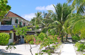 Pension Tikehau Paradise