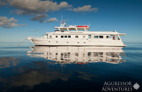 Turks & Caicos Aggressor II