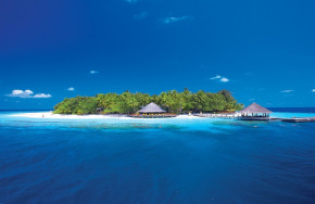 Dhawa Ihuru (Angsana)