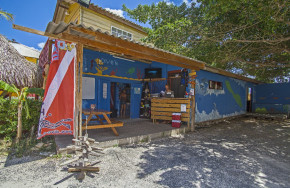 Dive'n Curacao