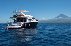 ProWin ProNature Explorer (Narobla)