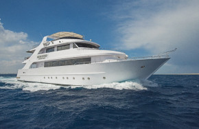 Discovery I ( Amelia) 