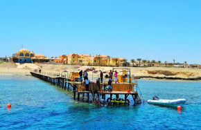 Wonderful Dive Rohanou