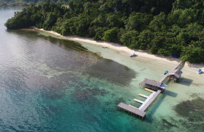 Dive Into Raja Ampat