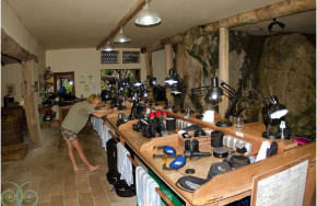 Misool Eco Dive Center